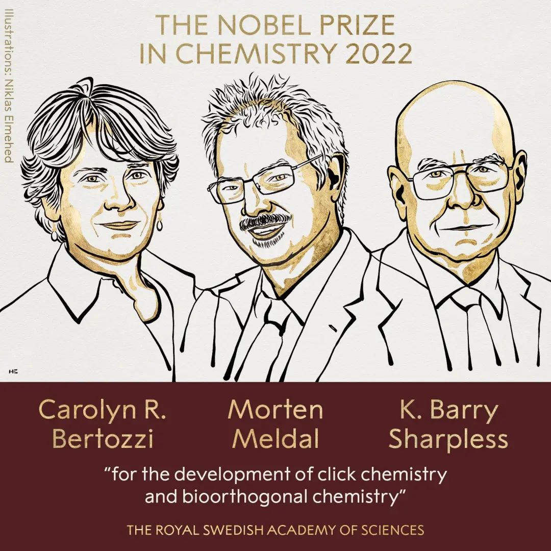 获得2022诺贝尔奖的 点击化学 是啥？ 极简主义 的化学反应蕴藏巨大潜力 新华报业网