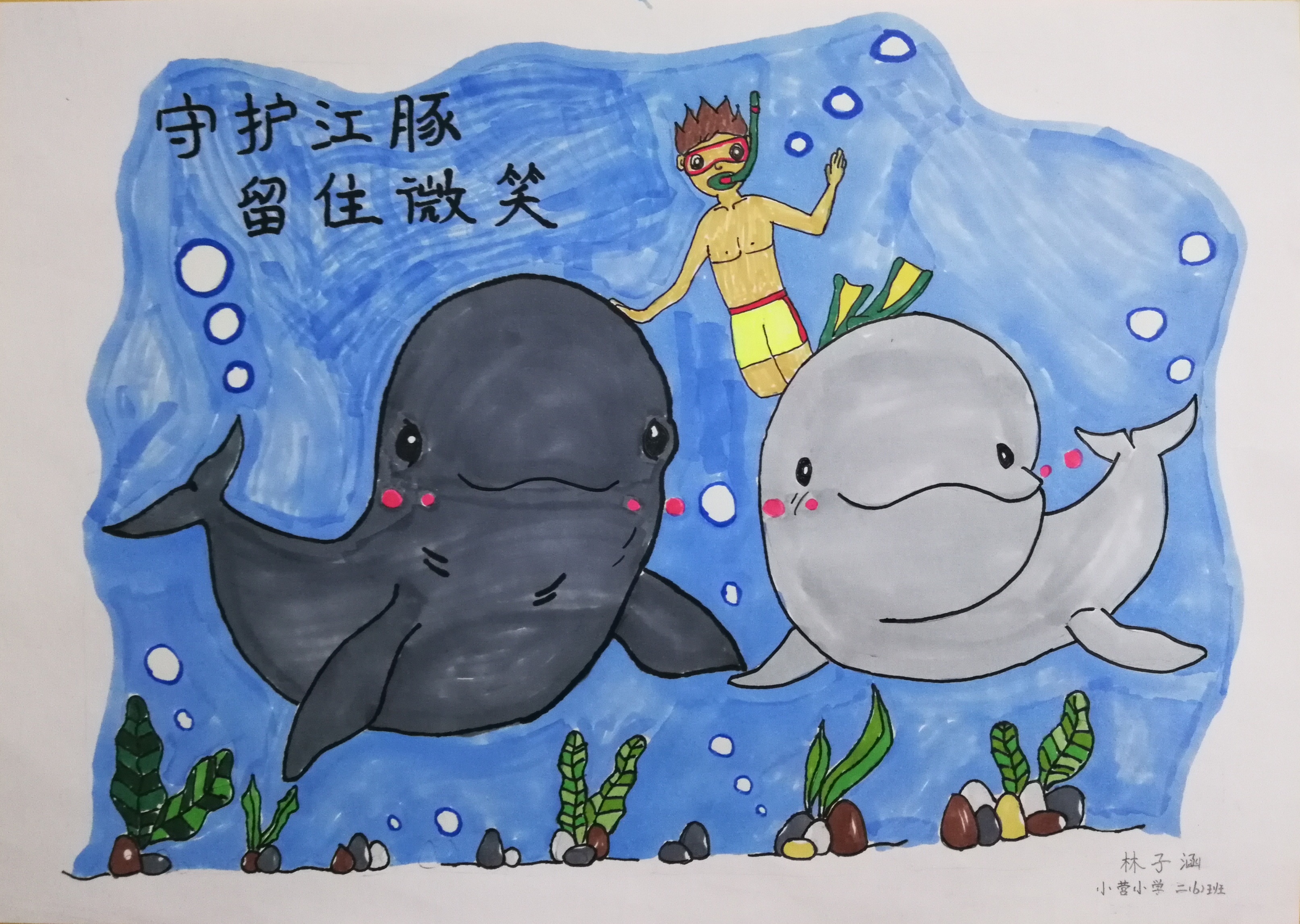 林子涵的绘画作品《守护江豚,留住微笑》   通讯员 王青颖 交汇点